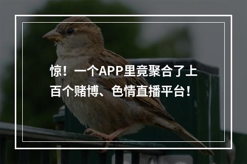 惊！一个APP里竟聚合了上百个赌博、色情直播平台！