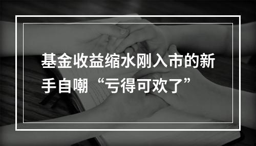 基金收益缩水刚入市的新手自嘲“亏得可欢了”
