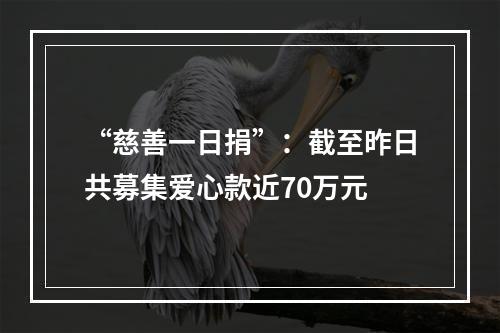 “慈善一日捐”：截至昨日共募集爱心款近70万元