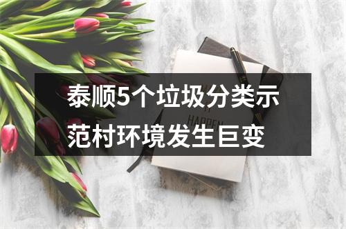 泰顺5个垃圾分类示范村环境发生巨变