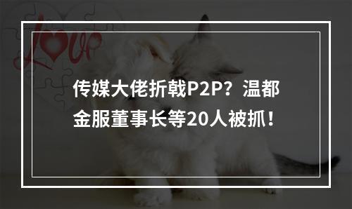 传媒大佬折戟P2P？温都金服董事长等20人被抓！