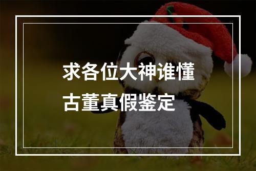 求各位大神谁懂古董真假鉴定