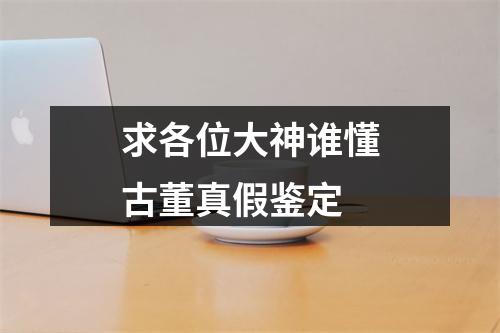 求各位大神谁懂古董真假鉴定