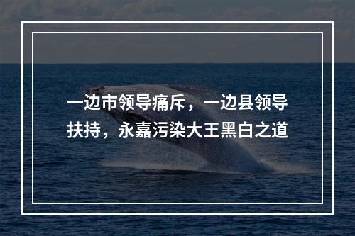 一边市领导痛斥，一边县领导扶持，永嘉污染大王黑白之道