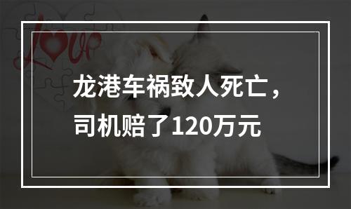 龙港车祸致人死亡，司机赔了120万元