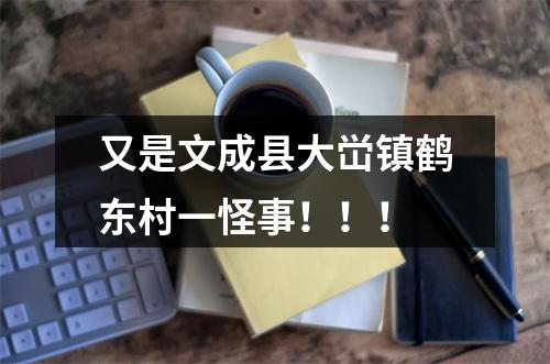 又是文成县大峃镇鹤东村一怪事！！！