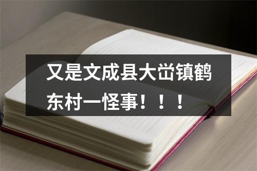 又是文成县大峃镇鹤东村一怪事！！！