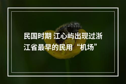 民国时期 江心屿出现过浙江省最早的民用“机场”