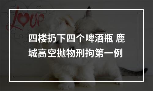 四楼扔下四个啤酒瓶 鹿城高空抛物刑拘第一例