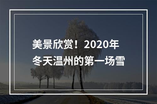 美景欣赏！2020年冬天温州的第一场雪