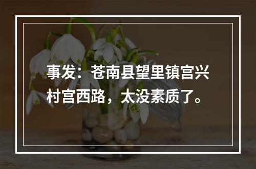 事发：苍南县望里镇宫兴村宫西路，太没素质了。