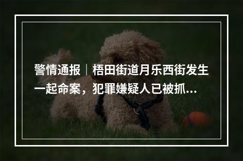 警情通报｜梧田街道月乐西街发生一起命案，犯罪嫌疑人已被抓获