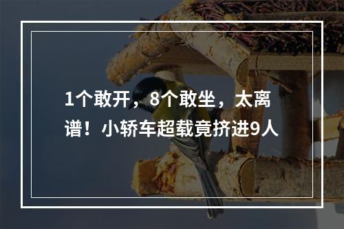 1个敢开，8个敢坐，太离谱！小轿车超载竟挤进9人