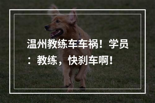 温州教练车车祸！学员：教练，快刹车啊！