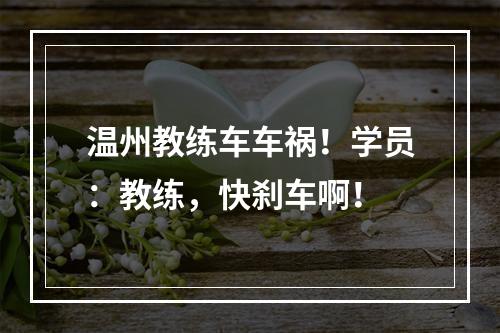 温州教练车车祸！学员：教练，快刹车啊！