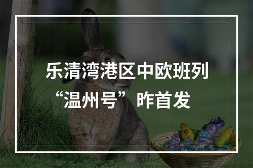 乐清湾港区中欧班列“温州号”昨首发