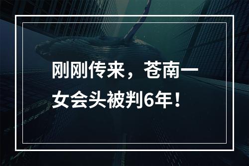 刚刚传来，苍南一女会头被判6年！