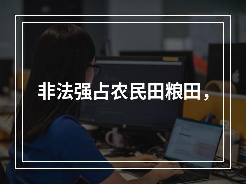 非法强占农民田粮田，