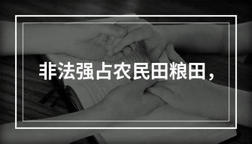 非法强占农民田粮田，