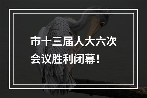 市十三届人大六次会议胜利闭幕！
