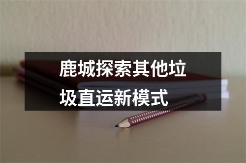 鹿城探索其他垃圾直运新模式