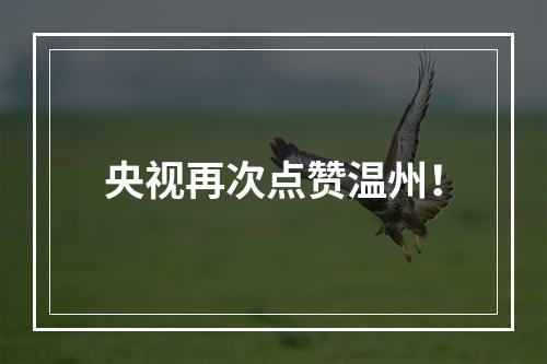 央视再次点赞温州！