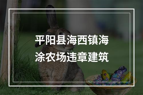 平阳县海西镇海涂农场违章建筑