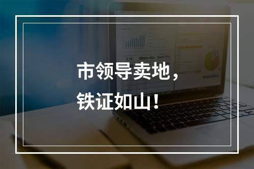 市领导卖地，铁证如山！