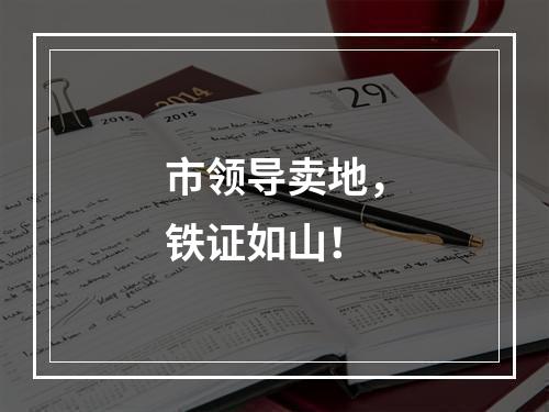 市领导卖地，铁证如山！