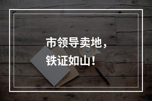 市领导卖地，铁证如山！