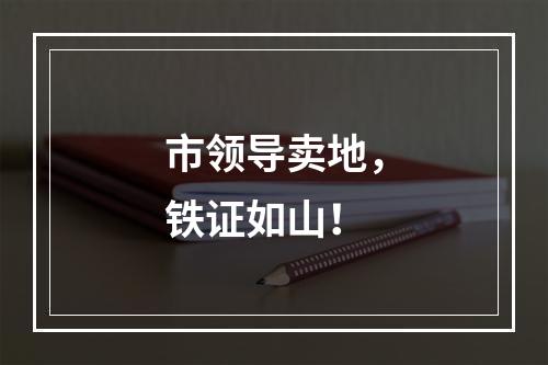 市领导卖地，铁证如山！