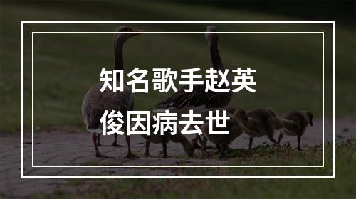 知名歌手赵英俊因病去世