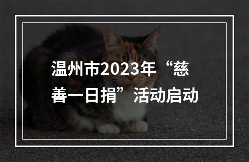 温州市2023年“慈善一日捐”活动启动