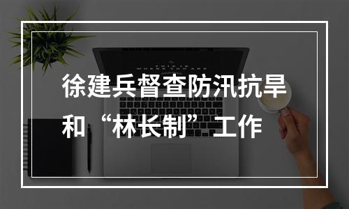 徐建兵督查防汛抗旱和“林长制”工作