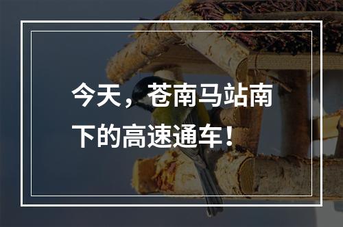 今天，苍南马站南下的高速通车！