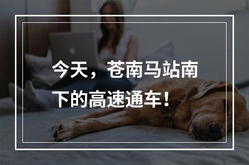 今天，苍南马站南下的高速通车！
