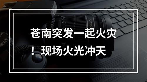 苍南突发一起火灾！现场火光冲天