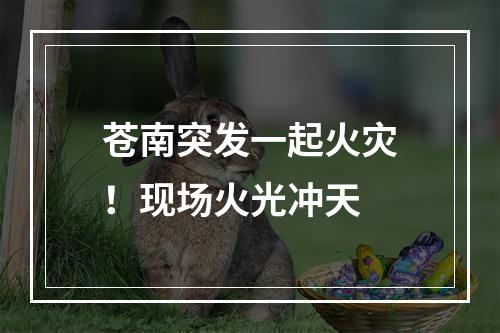 苍南突发一起火灾！现场火光冲天