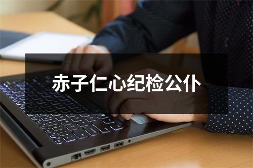 赤子仁心纪检公仆