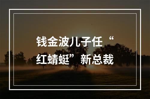 钱金波儿子任“红蜻蜓”新总裁