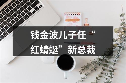 钱金波儿子任“红蜻蜓”新总裁