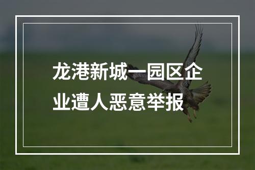 龙港新城一园区企业遭人恶意举报