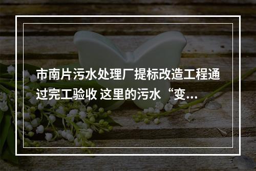 市南片污水处理厂提标改造工程通过完工验收 这里的污水“变样后”可养鱼灌溉
