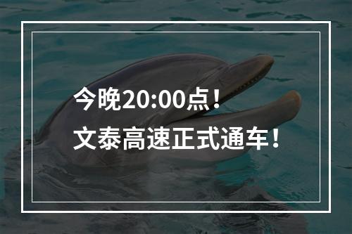 今晚20:00点！文泰高速正式通车！