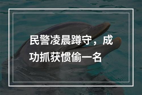 民警凌晨蹲守，成功抓获惯偷一名