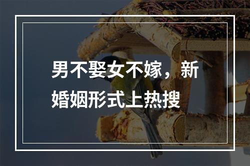 男不娶女不嫁，新婚姻形式上热搜
