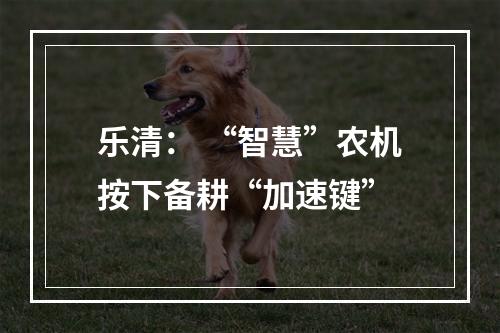 乐清： “智慧”农机按下备耕“加速键”