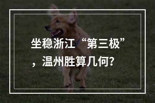 坐稳浙江“第三极”，温州胜算几何？