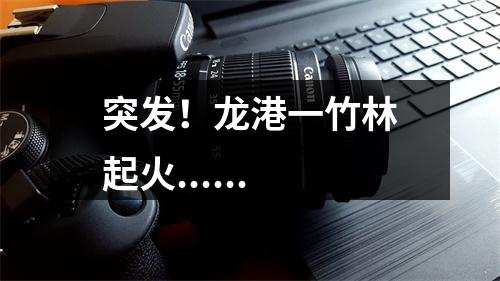 突发！龙港一竹林起火......
