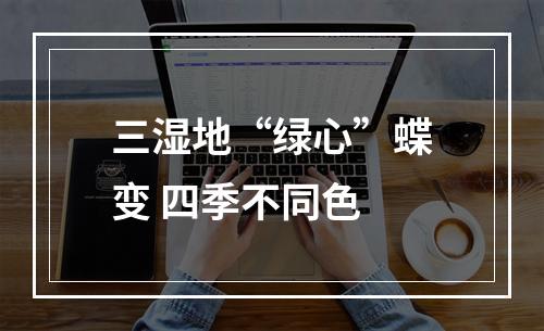 三湿地“绿心”蝶变 四季不同色